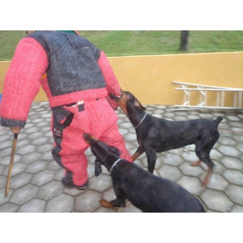 Adestrador de Cães de Guarda Raposo Tavares - Adestrador de Cães