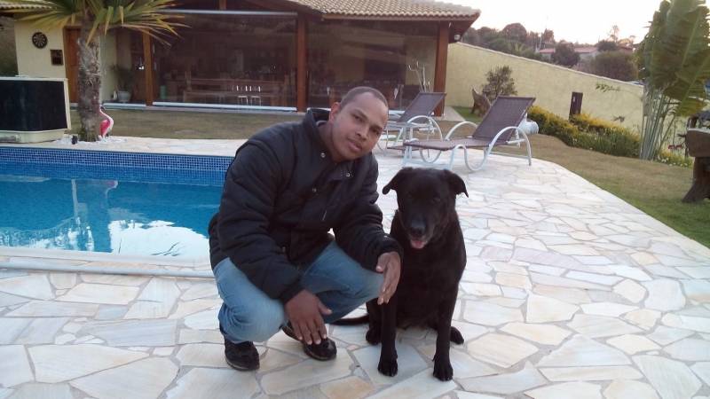 Adestradores de Labradores Barueri - Adestrador para Cães de Faro