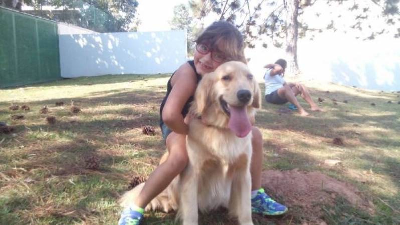 Adestramento Básico Vila Madalena - Curso para Ser Adestrador de Cães