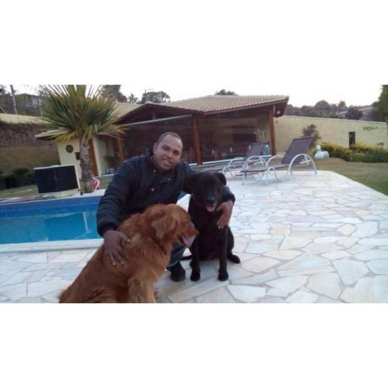 Adestramento Cães Santana de Parnaíba - Adestramento para Cão