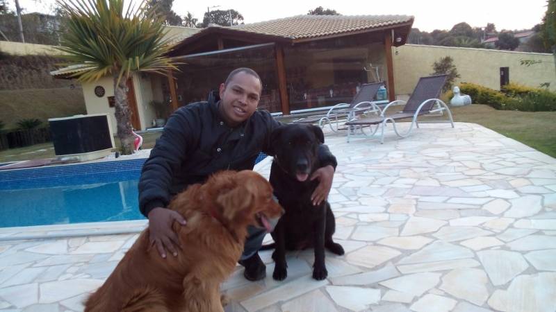 Adestramento Intensivo Vila Maria - Adestrar Cachorro Golden Retriever
