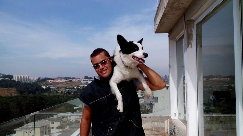 Alugar Cachorro Segurança Vila Olímpia  - Segurança com Cachorros Alugados