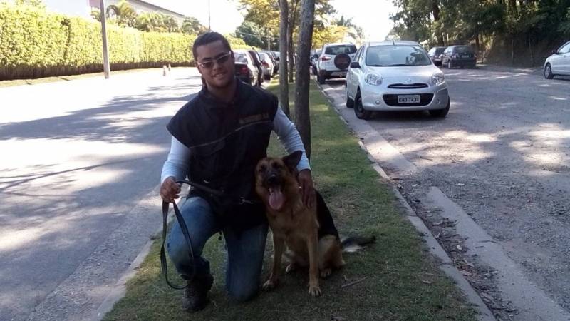 Alugar Cães de Serviço Carapicuíba - Locação de Cães de Segurança Adestrados