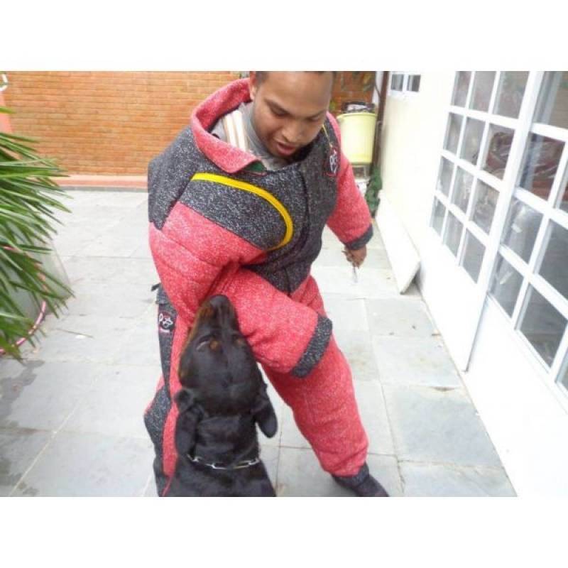 Alugar Cão de Guarda Valor Vila Maria - Treinamento para Cão de Guarda