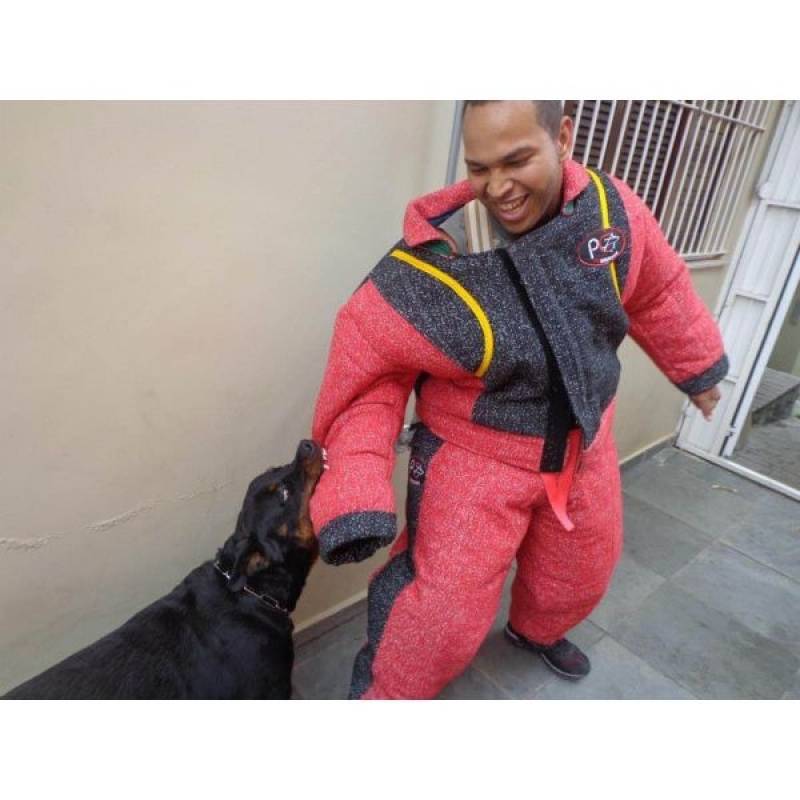 Aluguel Cão de Guarda Rio Pequeno - Treinamento de Cão de Guarda