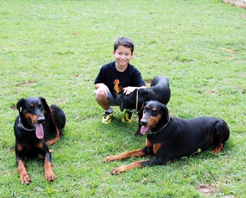 Aluguel de Cão Guarda Barueri - Cão de Faro Receita Federal