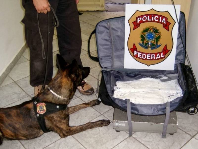 Cachorro Farejador de Pessoas Preço Alto da Lapa - Cão de Faro Receita Federal