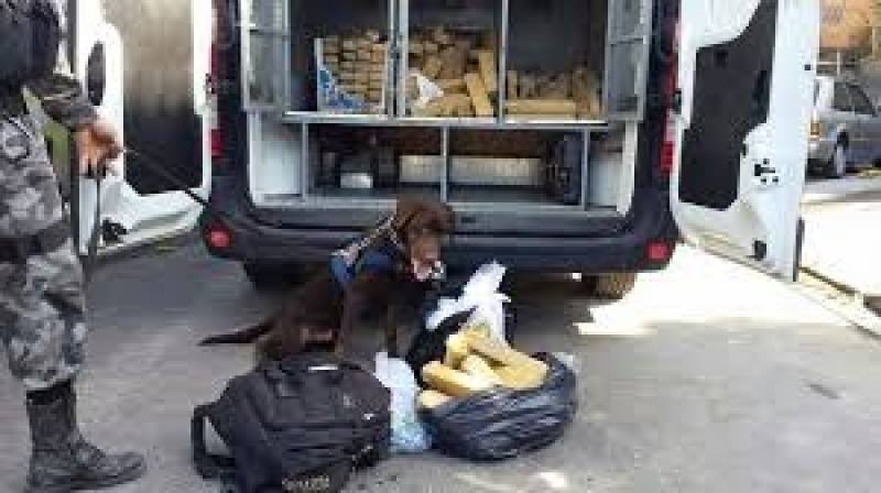 Cachorros Farejadores de Drogas Morumbi - Cães Farejadores de Caça