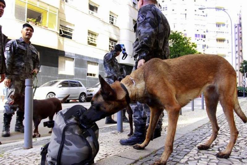 Cães de Faro de Explosivos Preço Lapa - Cão Farejador Drogas