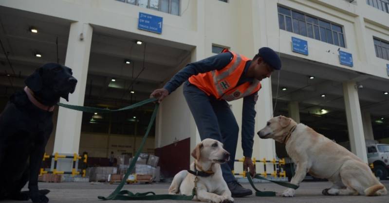 Cães Farejadores de Pessoas Preço Bom Retiro - Cão de Faro Receita Federal