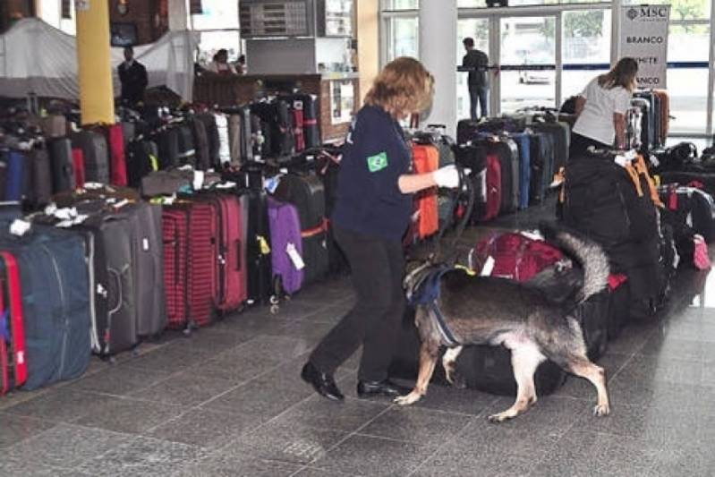 Cão de Faro Receita Federal Preço Butantã - Cães de Faro de Explosivos