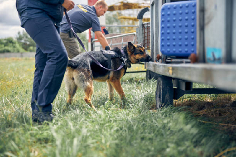Cão Farejadores de Explosivos Jardim Bonfiglioli - Cães Farejadores para Navios
