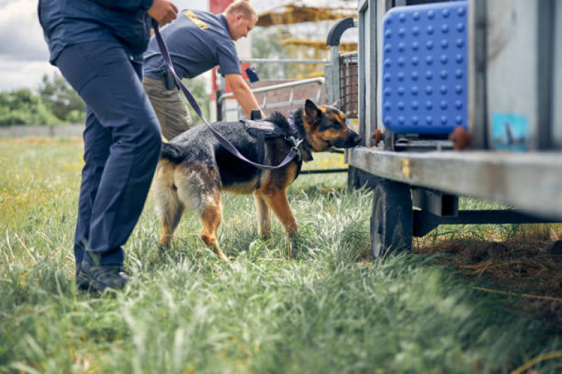 Cão Farejadores de Explosivos Aldeia da Serra - - Cães Farejadores para Navios