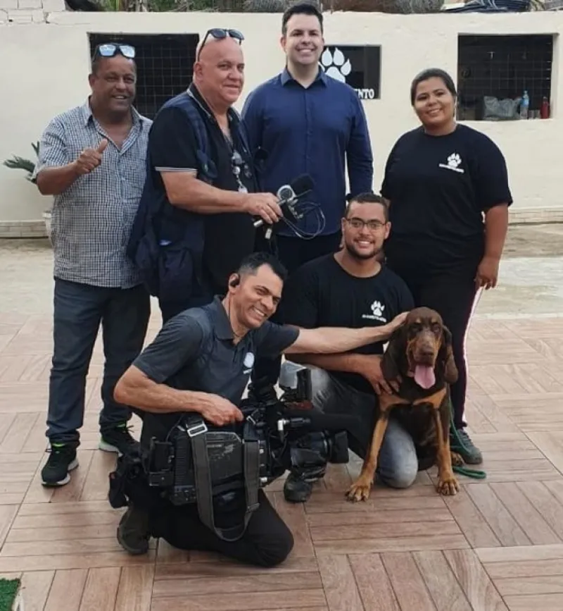 Preço de Encontrar Cachorro Desaparecido Carapicuíba