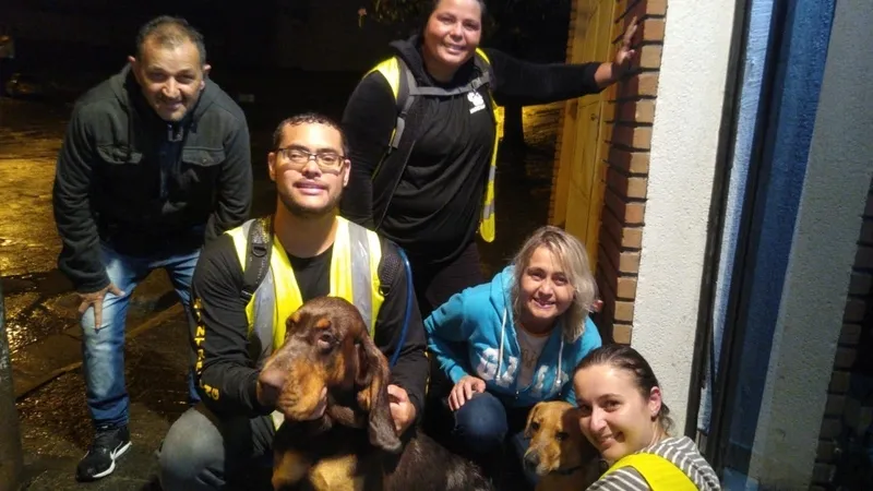 Quanto Custa Cachorro de Guarda para Alugar Jardim Bonfiglioli
