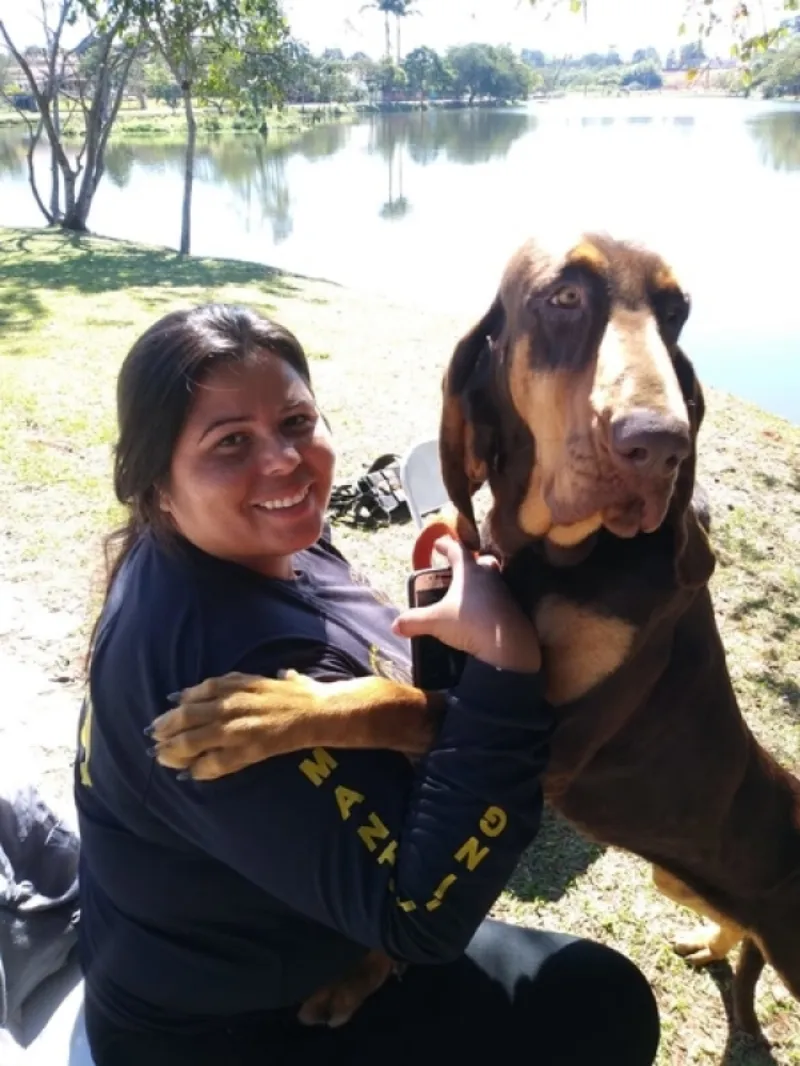 Hotéis para Cachorros Grandes e Forte Morumbi