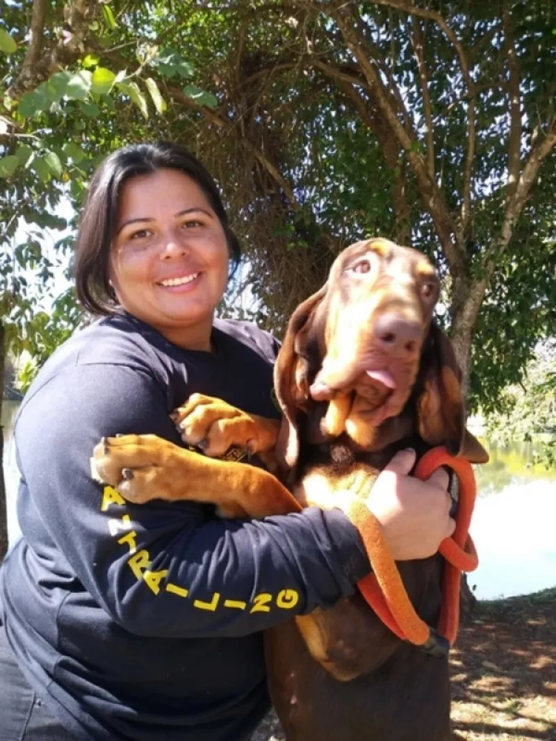 Empresas de Adestramento de Cachorros Rio Pequeno