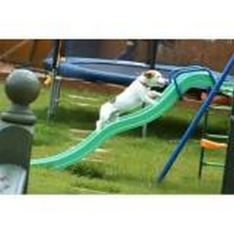 hotel para cães em sp