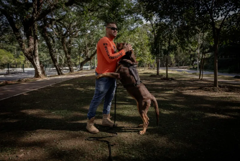 Day Care Canino Cotia