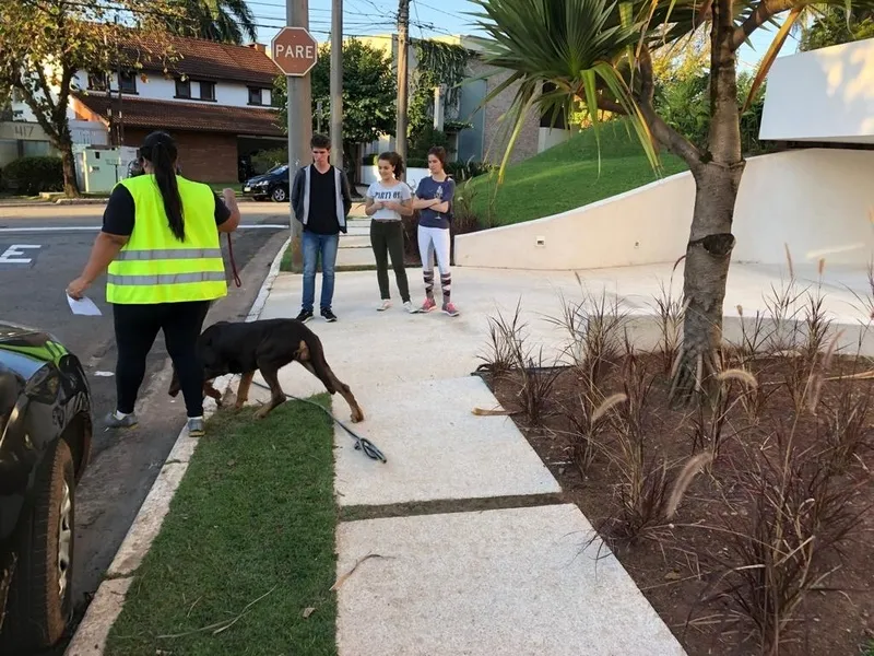 Hotelzinho de Cachorro com Agility em Sp Higienópolis