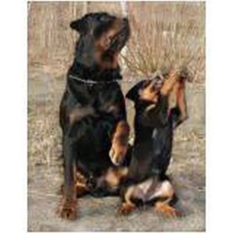 treinador para cães farejadores