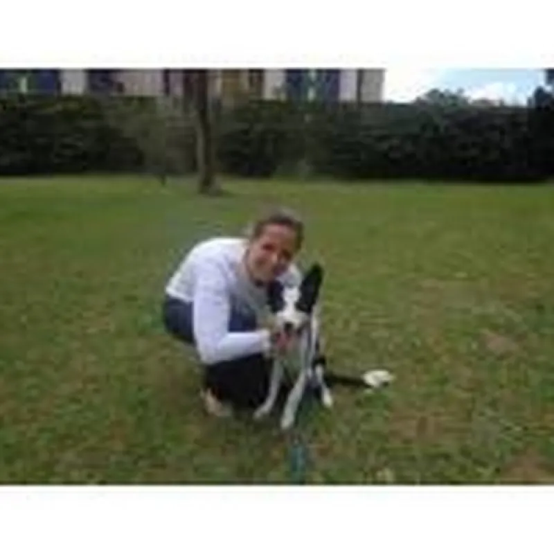 treinador para cães