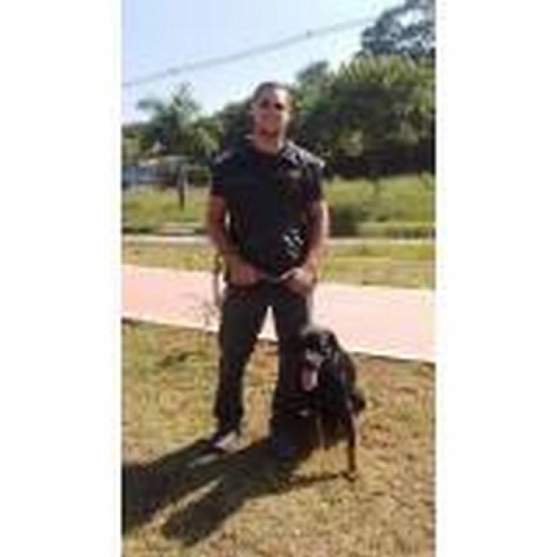 treinamentos para cães