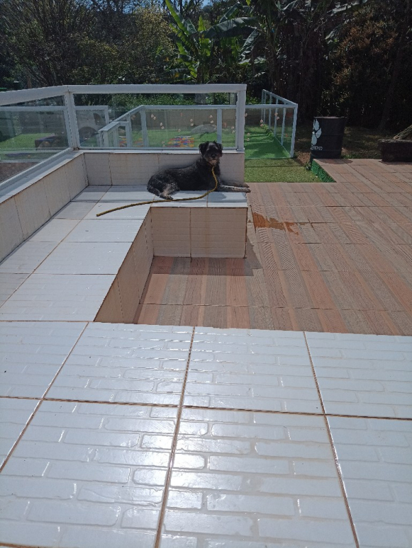 Creche e Hotel para Cachorro Contato Jaguaré - Creche e Hotel para Cachorro Barueri