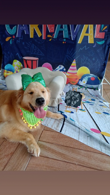 Creche e Hotel para Cachorro Bom Retiro - Creche e Hotel para Cachorro Barueri