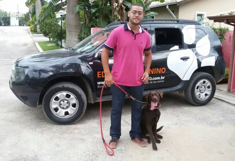 Curso de Adestramento de Labrador Preço Itapevi - Curso de Adestramento Canino