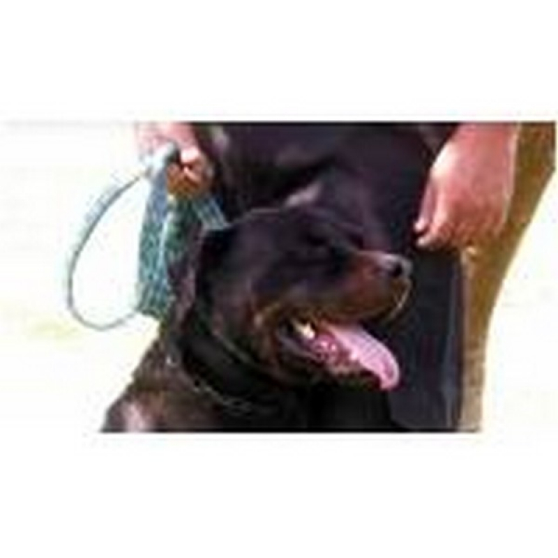 Curso de Adestramento Profissional Preço Morumbi - Curso de Condução de Cão de Faro