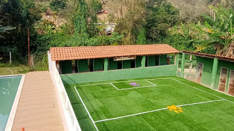 Escolinha para Cães Endereço Barueri - Creche para Cachorro Próximo a Mim Barueri