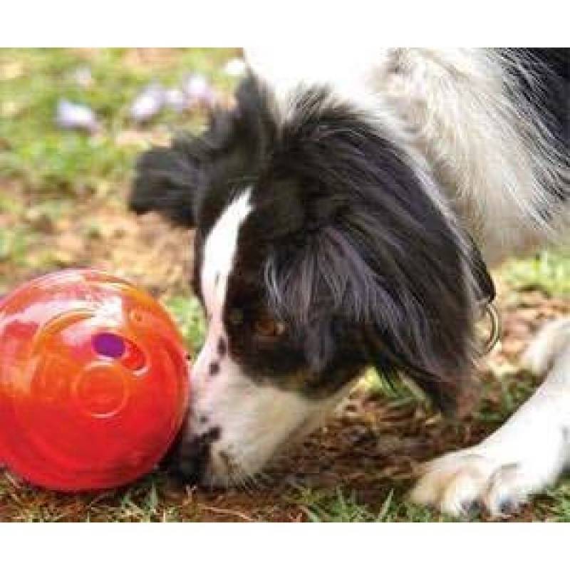 Hotéis de Cães Valor Vila Madalena - Hotéis de Cão