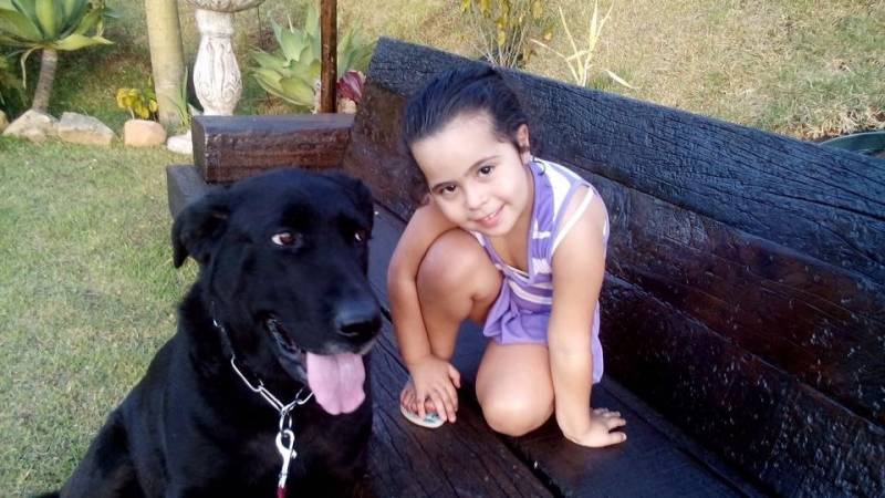 Hotel para Cão Idoso Carapicuíba - Hotelzinho de Cachorro com Agility
