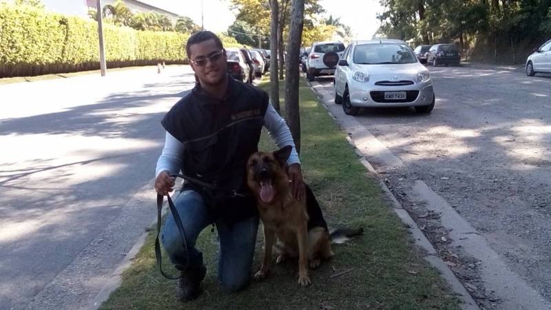 Locação de Cachorros de Guarda Higienópolis - Cachorro de Guarda para Alugar