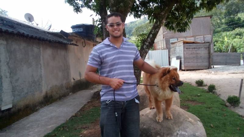 Locação de Cães de Segurança Adestrados Santana de Parnaíba - Aluguel de Cães de Segurança