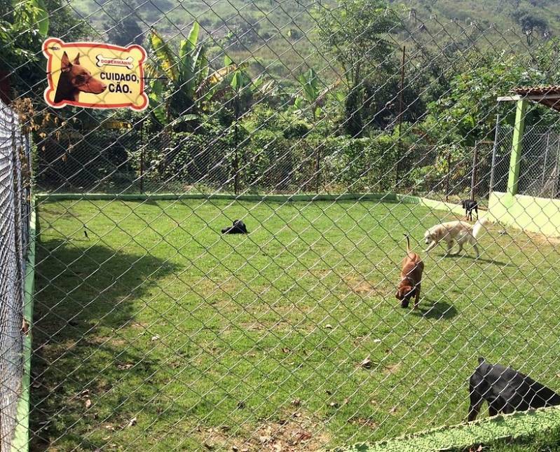 Onde Alugar Cachorro Segurança Granja Viana - Locação de Cachorro Segurança