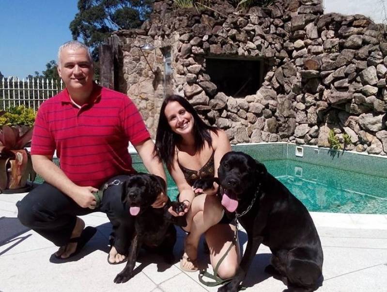 Onde Encontrar Cachorro de Guarda para Locação Jaguaré - Aluguel de Cachorro de Guarda em São Paulo
