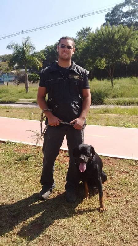 Onde Encontrar Empresa de Cães de Segurança Higienópolis - Adestramento de Cães Policiais