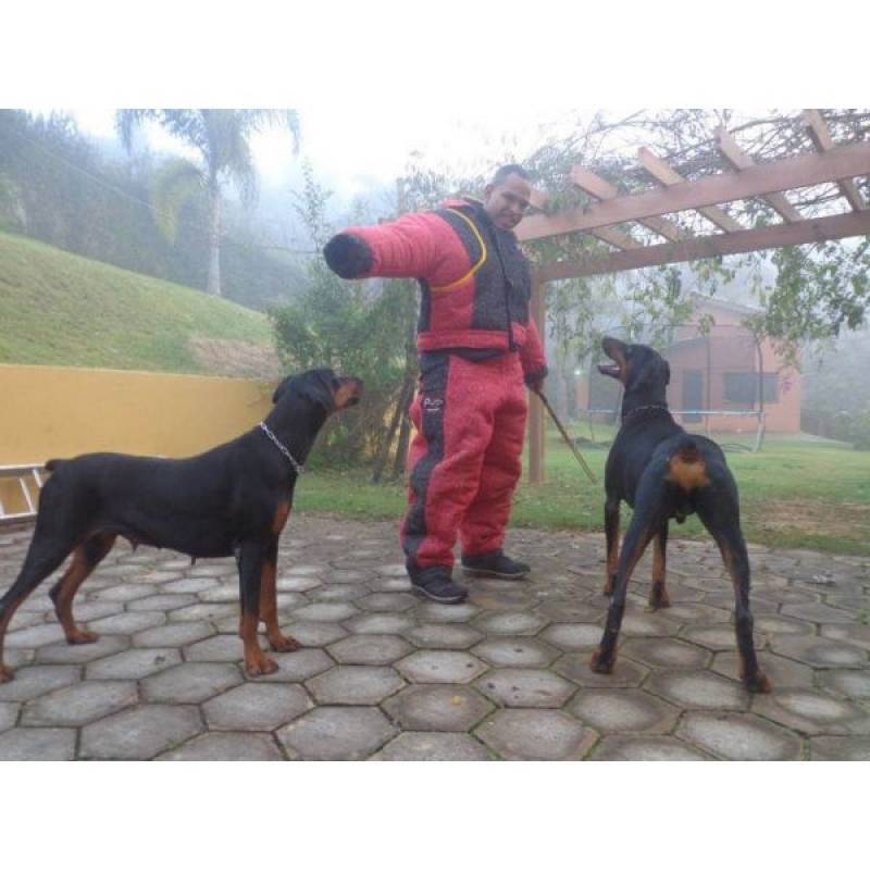 Onde Encontrar Hotel para Cachorro com Câmera Granja Viana - Hotel Fazenda para Cães