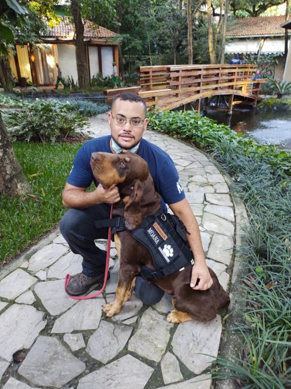 Onde Encontro Curso de Adestramento e Psicologia Canina Cotia - Curso para Treinar Cão de Faro
