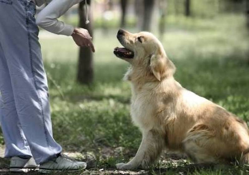 Onde Encontro Espaço Day Care Osasco - Spa Canino