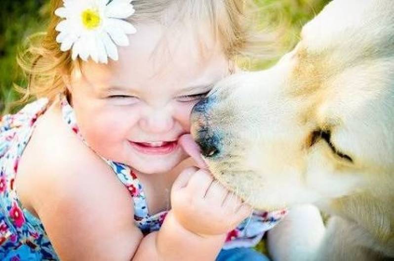 Onde Encontro Hotelzinho para Golden Morumbi - Hotelzinho de Cachorro com Atividades Físicas