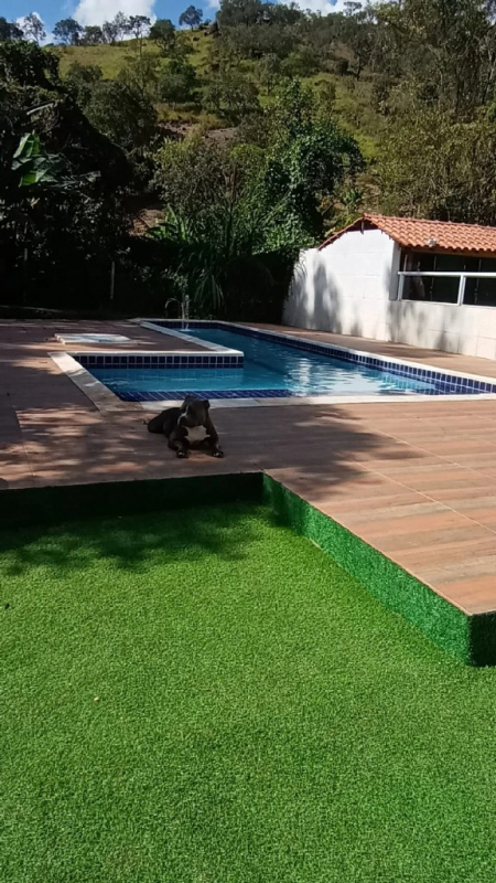 Onde Tem Creche Canina Perto de Mim Itapevi - Creche e Hotel para Cachorro Barueri