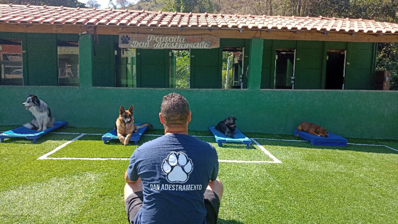 Onde Tem Creche para Cachorros Osasco - Creches para Cães Alphaville