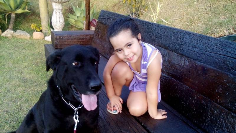 Orçamento de Adestrador a Domicílio Itapevi - Adestrador para Filhotes de Cachorro