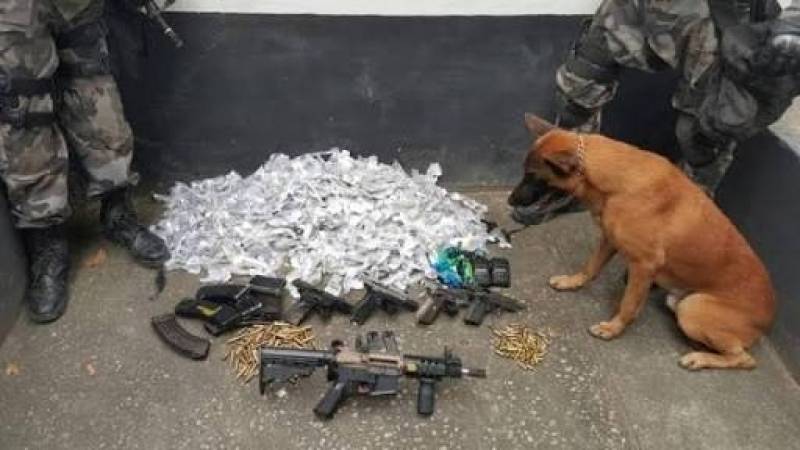Orçamento de Treinador de Cães Farejadores de Droga Vila Madalena - Cão de Faro Receita Federal