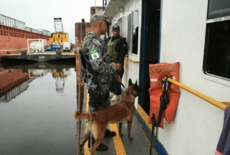 Orçamento de Treinamento para Cachorro Farejador Vila Madalena - Locação de Cão de Faro