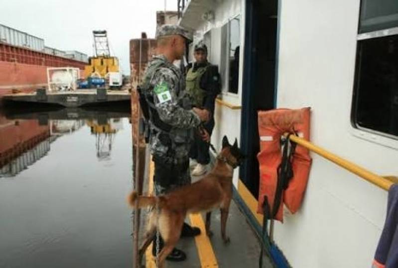 Orçamento de Treinamento para Cachorro Farejador Jaguaré - Cães de Faro de Explosivos