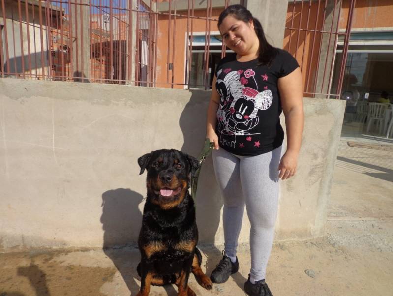 Quanto Custa Adestrador Canino Rio Pequeno - Adestramento para Cão de Guarda